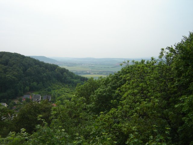DSC03031